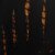 Black With Gold Tiger Stripes Yoga Pants For Women